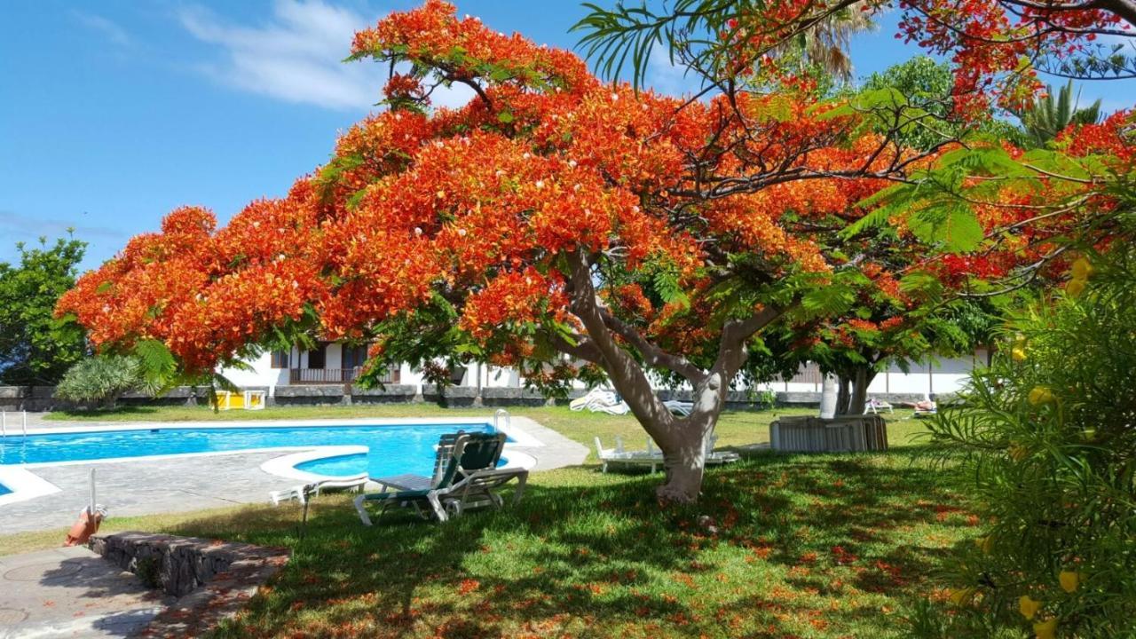 Apartamento Cerca De La Playa Apartment Acantilado de los Gigantes Exterior photo